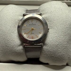 Skagen Steel Watch with Silver Mesh Band
